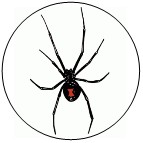 black widow spider found in jefferson shelby county alabama